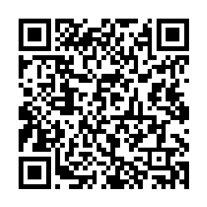很快就调转枪口对城市里面出来的武装分子进行阻击二维码生成