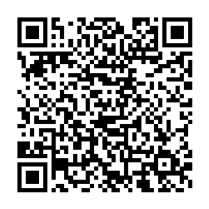很快带了一盘和王卢江面前一模一样的点心过来放在王二小姐跟前二维码生成