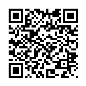 很快战斗就在小小的盆子里展开了二维码生成