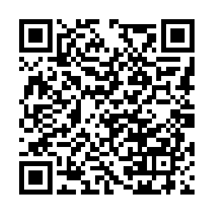 很快敲定麦雪拉让李唐担任近战防御队队长的提议二维码生成