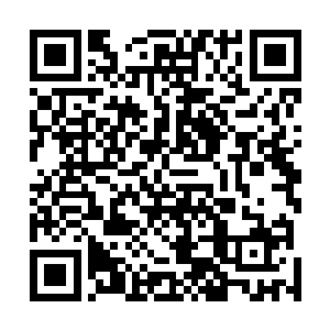 很快整个房间之中也只剩下齐峰一个人站在童师兄的面前二维码生成