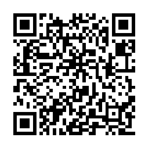 很快整座城市的全貌就出现在了龙傲天的神识中二维码生成