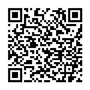 很快机甲屏幕上一副小型的战区布防效果图出现了二维码生成