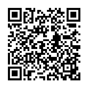 很快李锐又看到了另外一只有些粉嫩的小手也伸了出来二维码生成