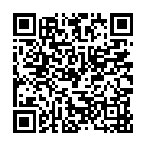 很快混沌神兽飞到一峡谷上空五六百米悬停下来二维码生成