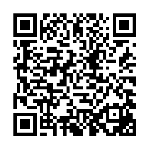 很快的一组以月亮鱼为道具的照片又一次新鲜出炉了二维码生成