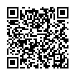 很快的便是在一个小巷之中听到了流年的呼唤之声二维码生成