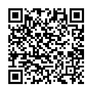 很快的呼叫的声音便如浪潮一般的席卷了整个溧阳城二维码生成