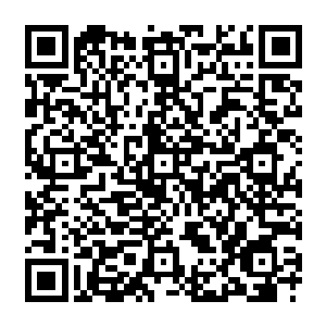 很快的海面上就响起了卡森还有俩位姑娘的欢乐的声音还有虎鲸们快乐如音乐般的叫声二维码生成