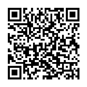 很快腹黑少女便穿着一套崭新的漂亮衣裙出现在了书房二维码生成