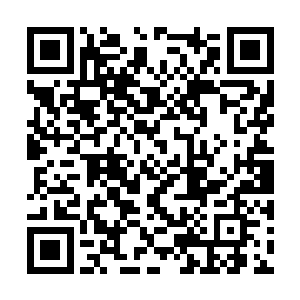 很快荒山野岭中突然给人柳暗花明豁然开朗的感觉二维码生成