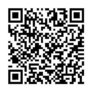 很快药玄的目光也注意到了龙傲天身边的徐子枫二维码生成