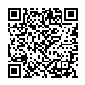很快贝海看到黎未未从客厅的沙发区伸出了脑袋二维码生成