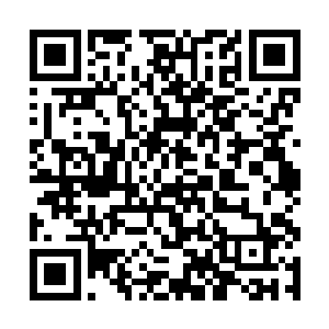 很快这些人的虚实也是一下子暴露在了龙傲天的眼中二维码生成