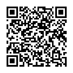 很快这种黑色的虫子的名字和信息也就反馈了回来二维码生成