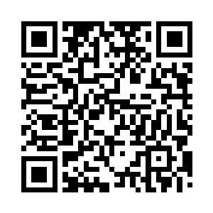 很快长成了一棵树冠庞盖的遮阳大树二维码生成