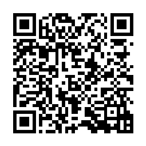 很快露出了里面的物质结构――那是一片青灰色的岩石二维码生成