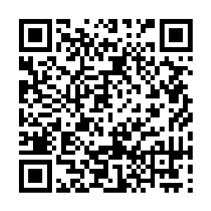 很快龙傲天两个人面前就出现了一片黑压压的身影二维码生成