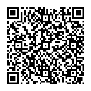 很快龙傲天也被一个小厮恭敬的请到了天宇阁拍卖会场顶层的一个奢华的包厢之中二维码生成