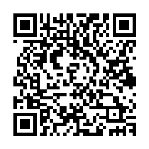 很快龙傲天也见到了云家的其余的几个参加四大家族大比的成员二维码生成