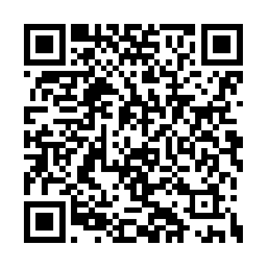 很快龙傲天的扫描结果也是证明了龙傲天的猜测二维码生成