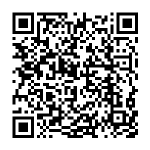 很想冲上去将这几人直接撩翻的心情被这突如其来的念头登时浇灭二维码生成