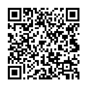 很早以前严明就听说过自己老板的一位哥哥是在政府担任大官的二维码生成