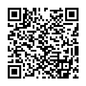 很早就让吴老夫人将主持中馈的权力转给郑素馨了二维码生成