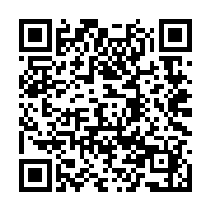 很明显以王铮的天赋如果专注一种能力绝不止这样二维码生成