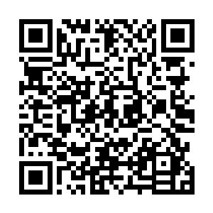 很明显实际上并不是像他所说的那样没有受到音功的伤害二维码生成