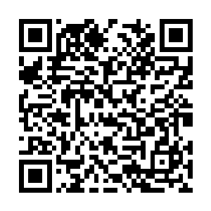 很明显是针对好莱坞有钱又喜欢附庸风雅的明星们二维码生成