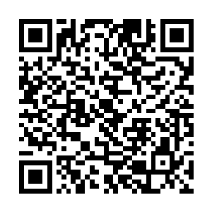 很明显龙家人以后是不可能再继续待在苏江市发展了二维码生成