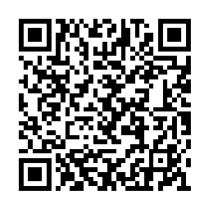 很是轻易地便将那个分神期修士的神识完全抹去二维码生成