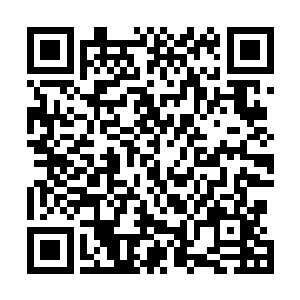 很显然他们家族方面对此的研究都已经进入到了病态当中二维码生成