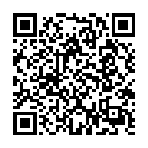 很显然十分的好奇为什么对方一口一个流氓的叫着丹尘子二维码生成