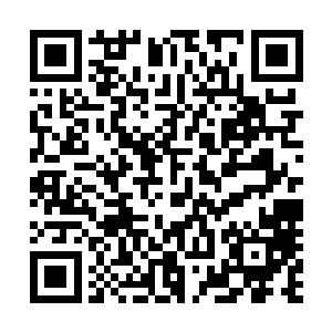 很显然对于龙傲天还有他的爷爷把他当作小孩子十分的不满二维码生成