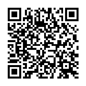 很显然林海岩还不至于在大庭广众之下对聂辰下杀手二维码生成