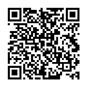 很显然梓箐不仅自己不想欠别人的人情也不想失去自己的尊严二维码生成