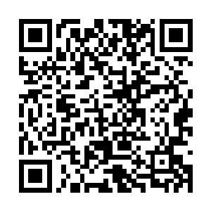 很有可能能够鉴定出九阳石――就算概率低下一点二维码生成