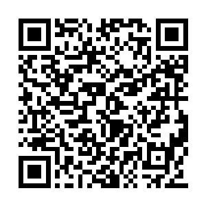 很有可能能重新恢复黑水玄蛇一族祖先们的辉煌二维码生成