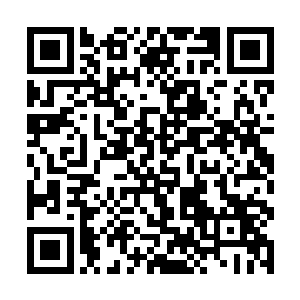 很有可能让这个牌子的白酒夺得十大潜力白酒的桂冠二维码生成