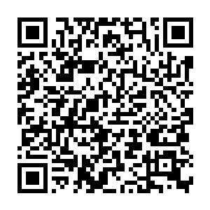 很有可能这次鬼市之上流传出来的这个墓穴的地图就是王乾放出来二维码生成