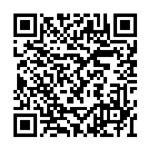 很有美国牛仔大无谓精神地试图让大家冷静下来二维码生成