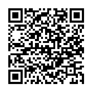 很淡定地对说出了那句令人匪夷所思的名台词……二维码生成