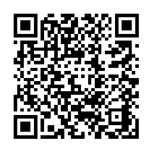 很温雅的推了推那副价格足以买下一辆宝马的黑框眼镜二维码生成