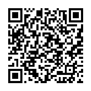 很自然地想起了当初青藤宴时自己被莫雨困在桐宫里二维码生成