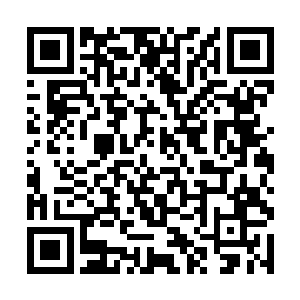 很重要的一点是因为江逸感悟杀戮真意的速度太快了二维码生成