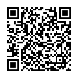 很难判断我在这个剧本里要对付的究竟是什么东西二维码生成