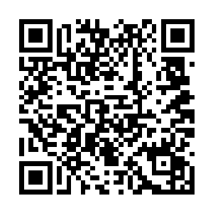 很难想象一个学校的老师会表现出这种不堪的样子二维码生成