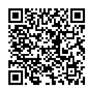 徐世昌前段时间被袁世凯放出去前往欧洲考察军事二维码生成